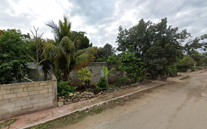 escuela de manejo Tizimín