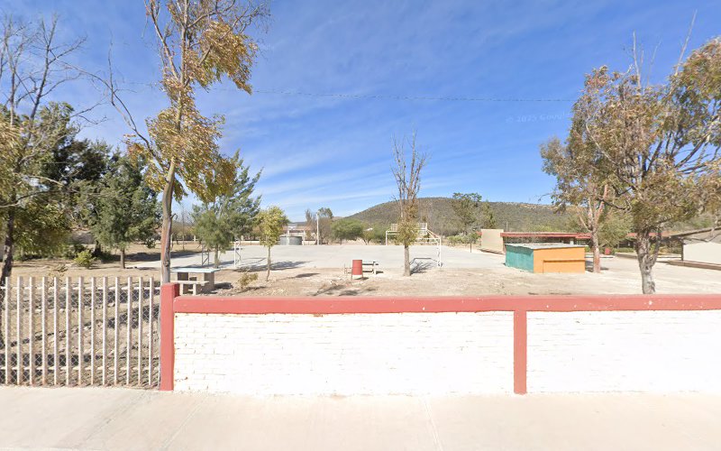 escuela de manejo Mexquitic de Carmona