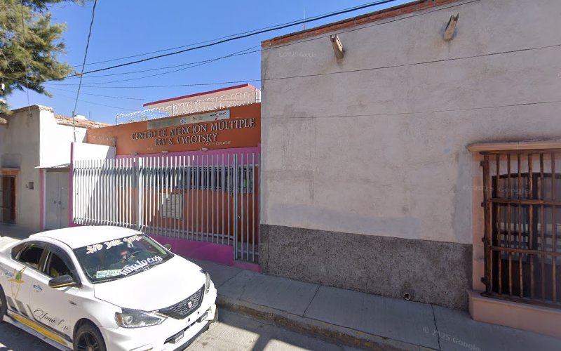 escuela de manejo Villa de Reyes