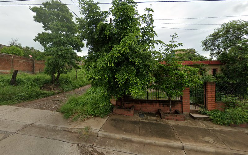 escuela de manejo Culiacán
