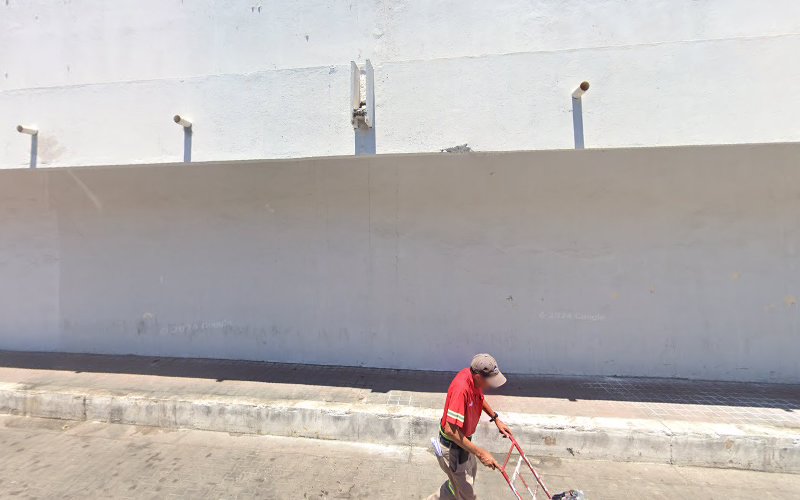 escuela de manejo Mazatlán