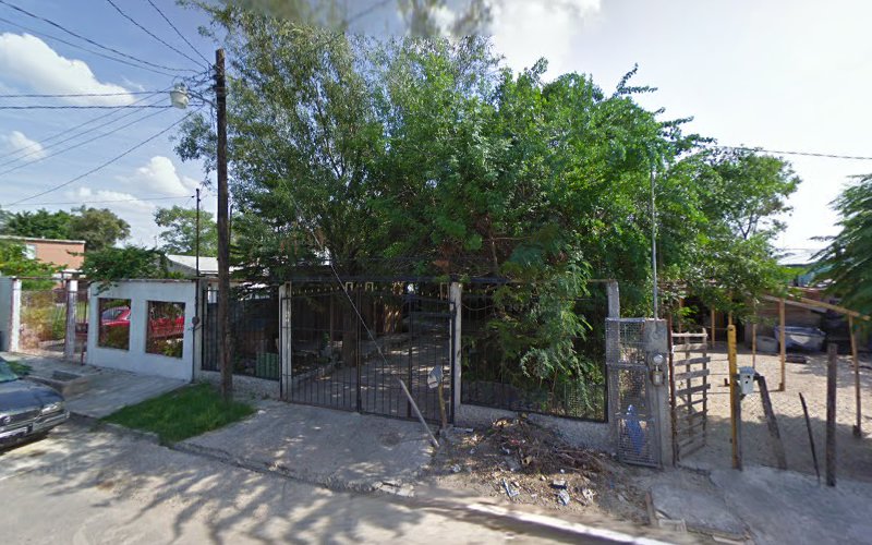 escuela de manejo Río Bravo