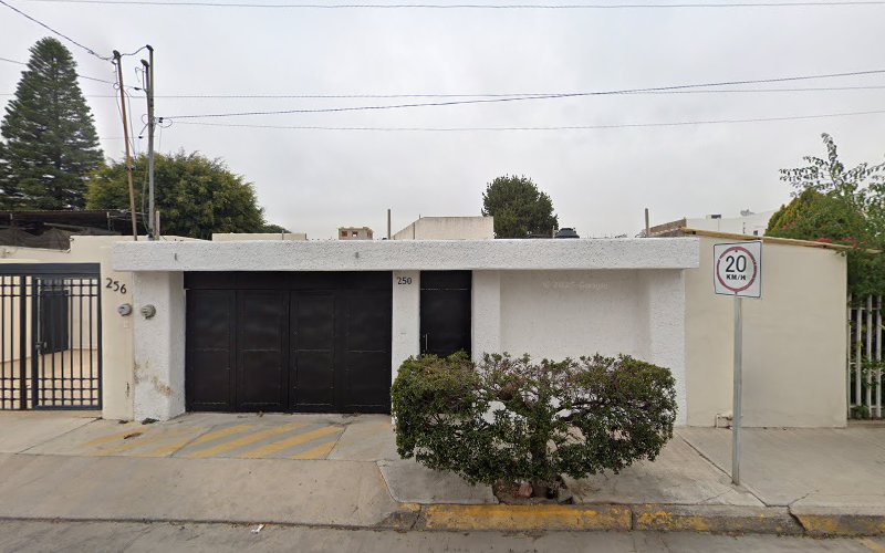 escuela de manejo San Luis Potosí